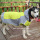 Reflective Safety Jacket Raincoat With Hood